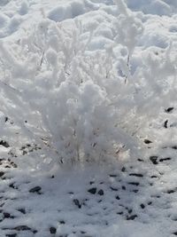 Close-up of water in winter