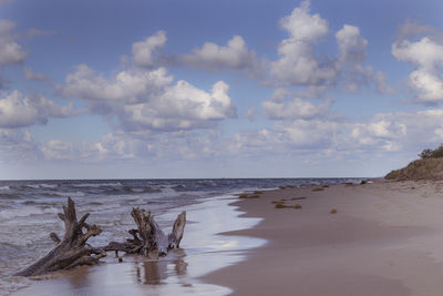 Scenic view of beach against sky