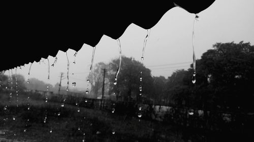 Rain drops on city street