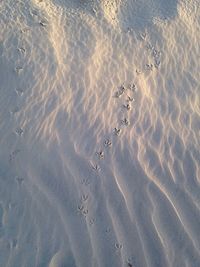 High angle view of footprints on sand