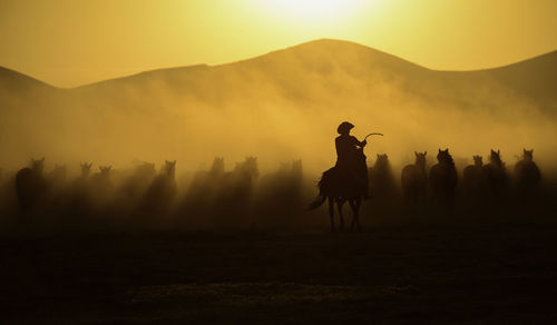 Silhouette man riding on field against sky during sunset