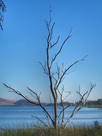 View of calm lake against clear sky