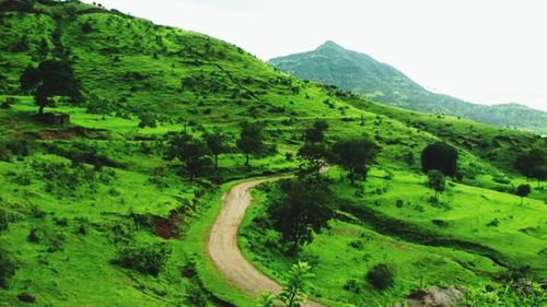 Scenic view of mountains