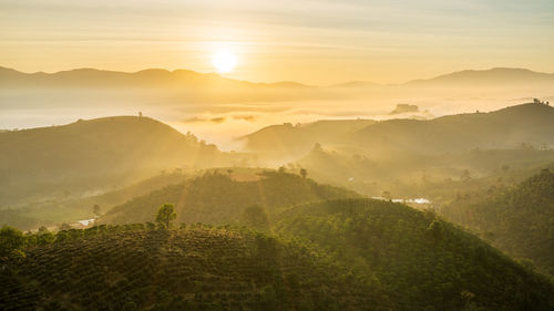 Scenic view of landscape against sky during sunset