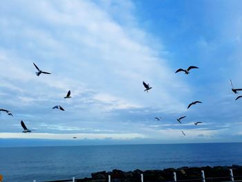 Birds flying over sea against sky