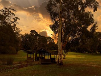 Trees on field against sky at sunset
