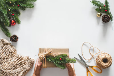 Person holding christmas tree