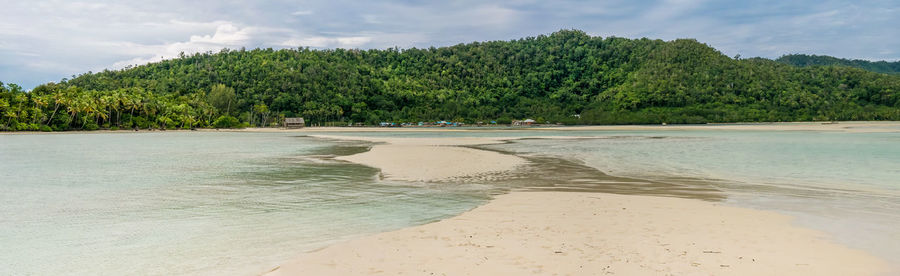 Scenic view of beach against sky