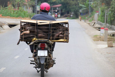 Iconic vietnamese photo of drivers carrying everything on their motorbike