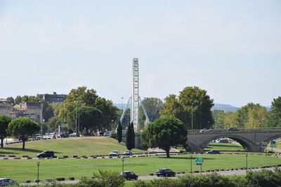 Trees in park against sky