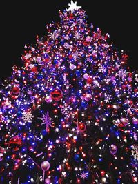 Low angle view of christmas tree against sky