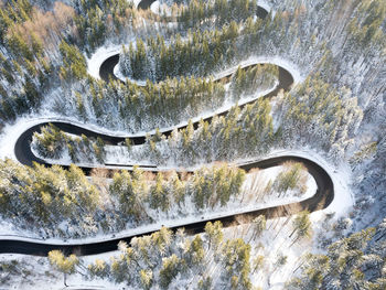 High angle view of a horse on snow