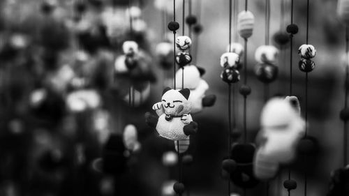 Close-up of stuffed toy hanging at market stall