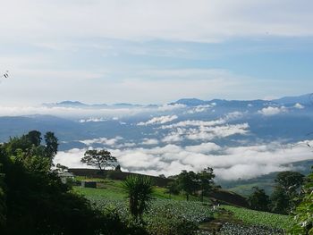 Scenic view of landscape against sky