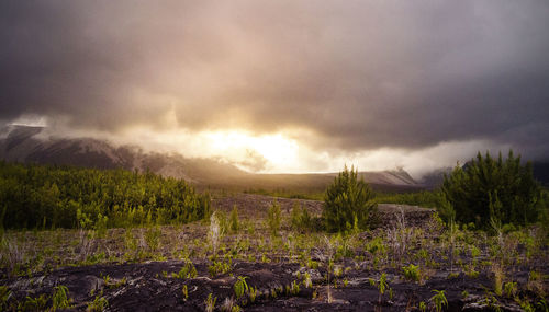 Scenic view of field against sky during sunset