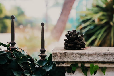 Close-up of stone stack on wood