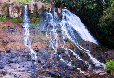 Scenic view of waterfall in forest
