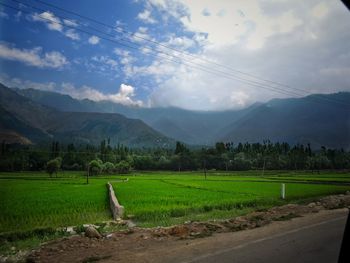 Scenic view of field against sky
