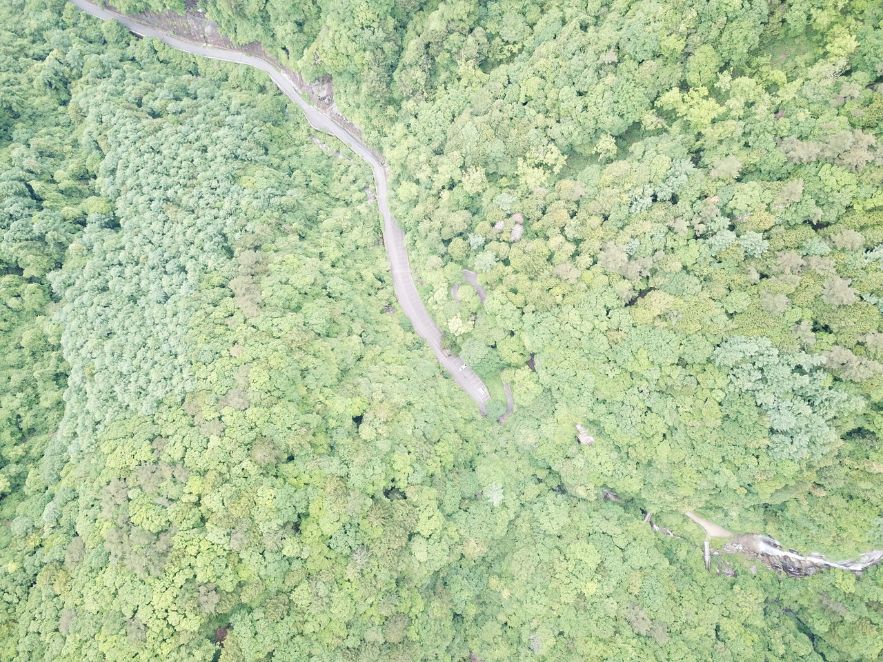 HIGH ANGLE VIEW OF ROAD ALONG TREES