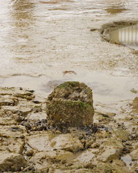 High angle view of rocky beach