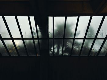 View of trees through window in snow