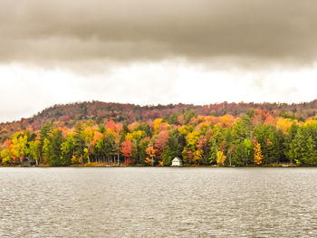 Scenic view of lake in forest against sky