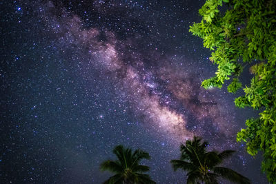 Low angle view of trees against sky at night