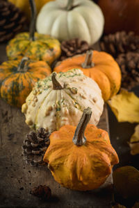 Close-up of pumpkin on leaf during autumn