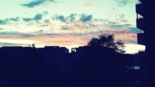 Silhouette trees against sky during sunset