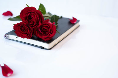 Close-up of red rose on white table