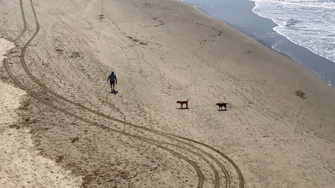 sand, beach, high angle view, outdoors, sea, nature, day, no people, drone