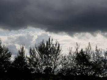 Low angle view of silhouette trees against sky