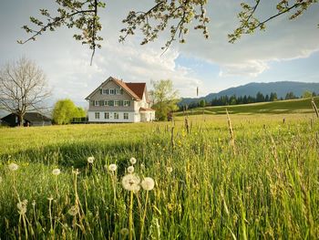 Scenic view of field against sky alpenloge hotel 