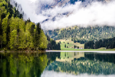 Scenic view of lake by trees against sky