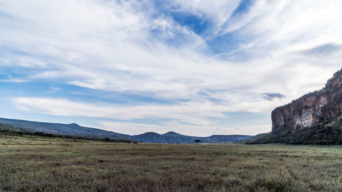 Scenic view of field against sky