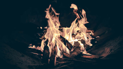 Close-up of bonfire