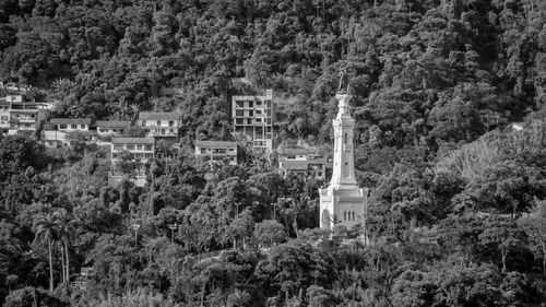 Panoramic view of trees and buildings in forest