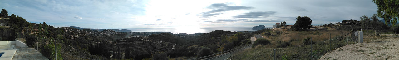 Panoramic shot of plants against sky