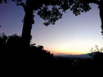 Silhouette trees in forest against sky at sunset