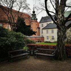 Trees and bench in park by building