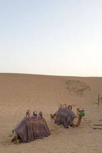 Bicycles on sand dune against clear sky