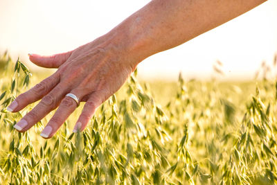 Close-up of hand on field