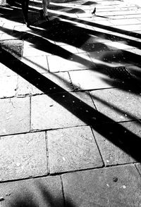 High angle view of shadow on road