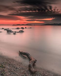 Driftwood on beach against sky during sunset