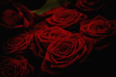 Close-up of rose bouquet