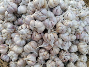 Full frame image of garlic