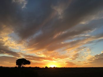 Silhouette trees against dramatic sky during sunset