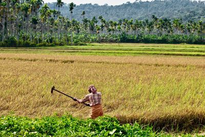 agriculture