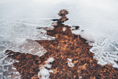 High angle view of people in frozen water