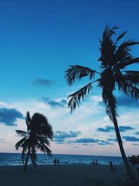 Silhouette palm trees on beach against sky
